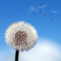 �������ǲ�(�й���)�ٷ���վ