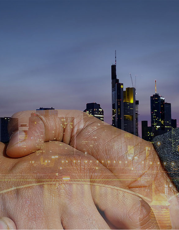 �������ǲ�(�й���)�ٷ���վ