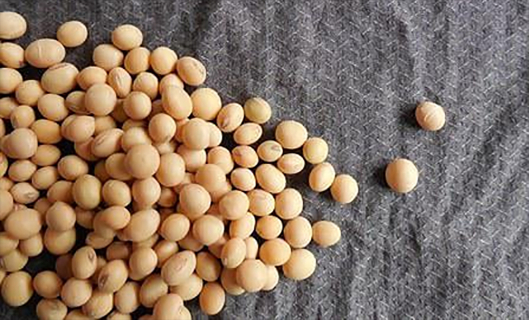 �������ǲ�(�й���)�ٷ���վ